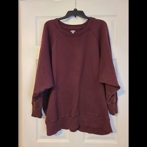 Aerie Sweatshirt
